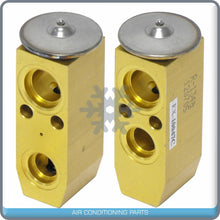 Load image into Gallery viewer, A/C Expansion Valve for Infiniti Q45, QX4 / Pathfinder QR - Qualy Air
