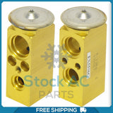 A/C Expansion Valve for Chevrolet Venture / Oldsmobile Silhouette / Pontia... QR