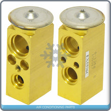 Load image into Gallery viewer, A/C Expansion Valve for Chevrolet Venture / Oldsmobile Silhouette / Pontia... QR - Qualy Air