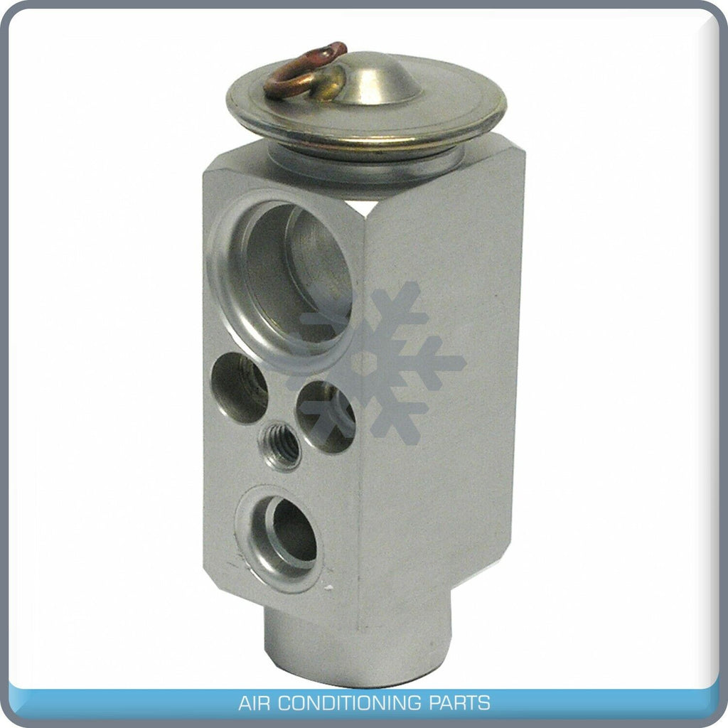 A/C Expansion Valve for Cadillac Catera QR - Qualy Air