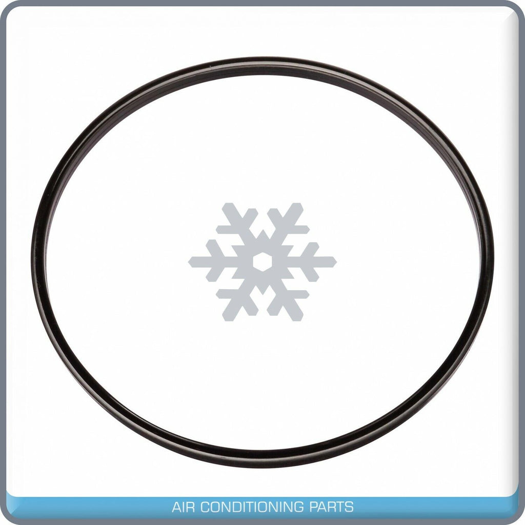 Electric Fuel Pump Module For Chrysler 300M Concorde LHS Dodge Intrepid QOA - Qualy Air