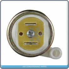 Load image into Gallery viewer, Electric Fuel Pump for Ford Bronco, E-250, E-350 Econoline, F-150, F-250,... QOA - Qualy Air