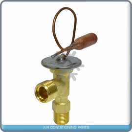 A/C Expansion Valve for Ford Freestar, Windstar QR - Qualy Air