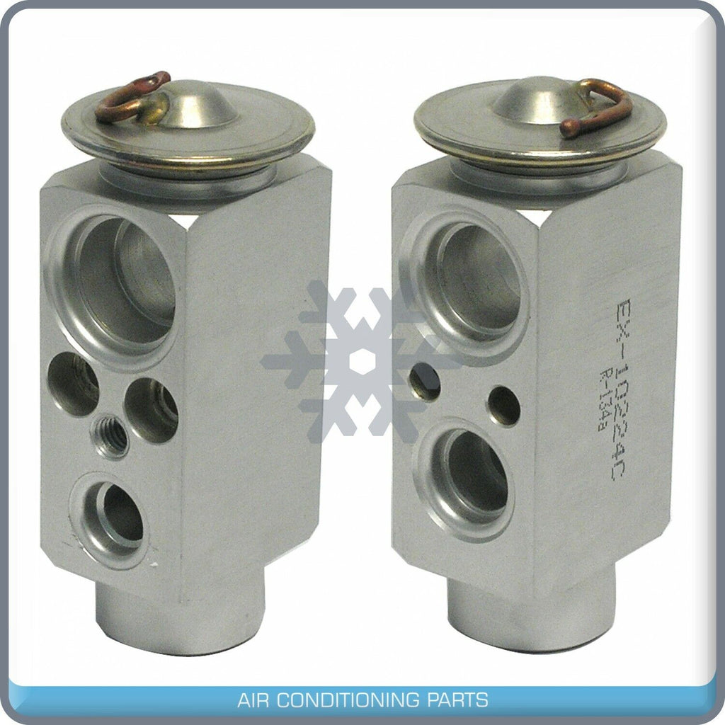 A/C Expansion Valve for Cadillac Catera QR - Qualy Air