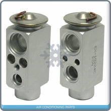 Load image into Gallery viewer, A/C Expansion Valve for Cadillac Catera QR - Qualy Air