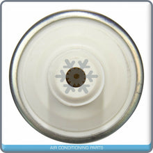 Load image into Gallery viewer, Electric Fuel Pump for Fiat 124, Brava / Ford Country Squire, LTD / Linco... QOA - Qualy Air