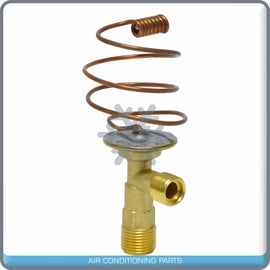 A/C Expansion Valve for Massey Ferguson QR - Qualy Air