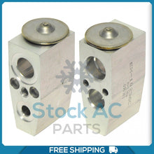 Load image into Gallery viewer, A/C Expansion Valve for Buick Lucerne / Cadillac DTS QR - Qualy Air