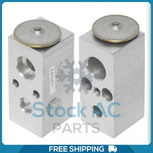 Load image into Gallery viewer, A/C Expansion Valve for Dodge B150, B1500, B250, B350, D150, D250, D350, D... QR - Qualy Air