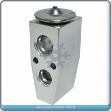 Load image into Gallery viewer, A/C Expansion Valve for Chevrolet Equinox / Saturn Vue QR - Qualy Air