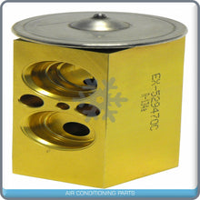 Load image into Gallery viewer, A/C Expansion Valve for Dodge Durango QR - Qualy Air