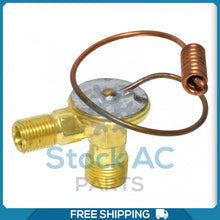 Load image into Gallery viewer, A/C Expansion Valve for Dodge Mini Ram, Raider, Ram 50 / Mitsubishi Mighty... QR - Qualy Air