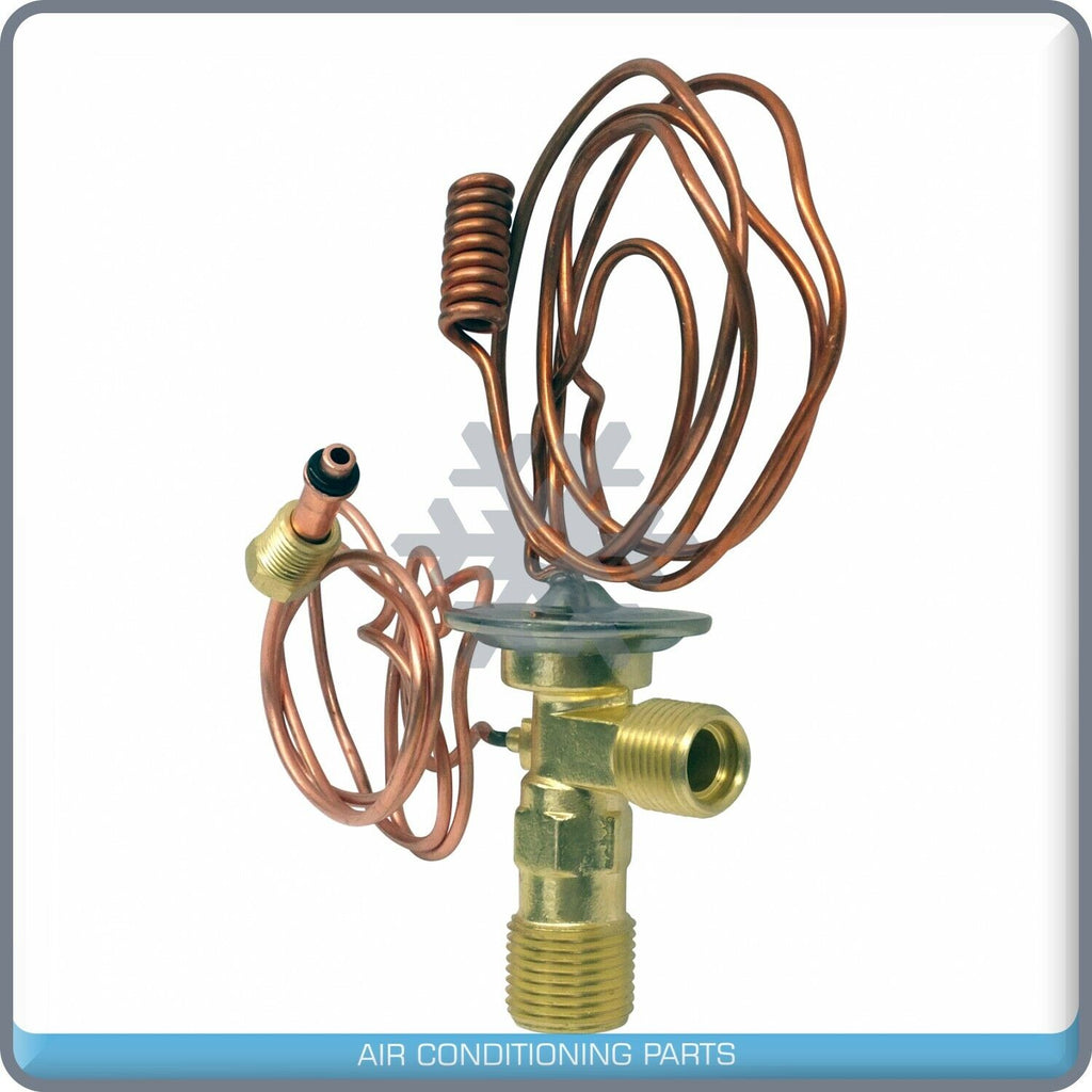 A/C Expansion Valve for Cadillac / Chevrolet / GMC / Oldsmobile / Pontiac QR - Qualy Air