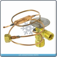 Load image into Gallery viewer, A/C Expansion Valve for Hesston 60-86, 65-94, 72-94, 82-94, 88-94 / Intern... QR - Qualy Air