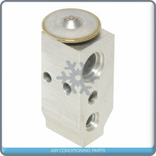 Load image into Gallery viewer, A/C Expansion Valve for Chevrolet Silverado 3500 HD / Borrego, Forte QR - Qualy Air