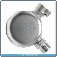 Load image into Gallery viewer, A/C Receiver Drier for Buick Century, Regal / Chevrolet Impala, Lumina, Mo... QR - Qualy Air