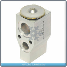 Load image into Gallery viewer, A/C Expansion Valve for Buick Terraza / Chevrolet Uplander / Pontiac Monta... QR - Qualy Air