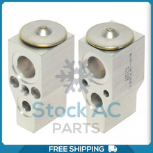 Load image into Gallery viewer, A/C Expansion Valve for Buick Terraza / Chevrolet Uplander / Pontiac Monta... QR - Qualy Air