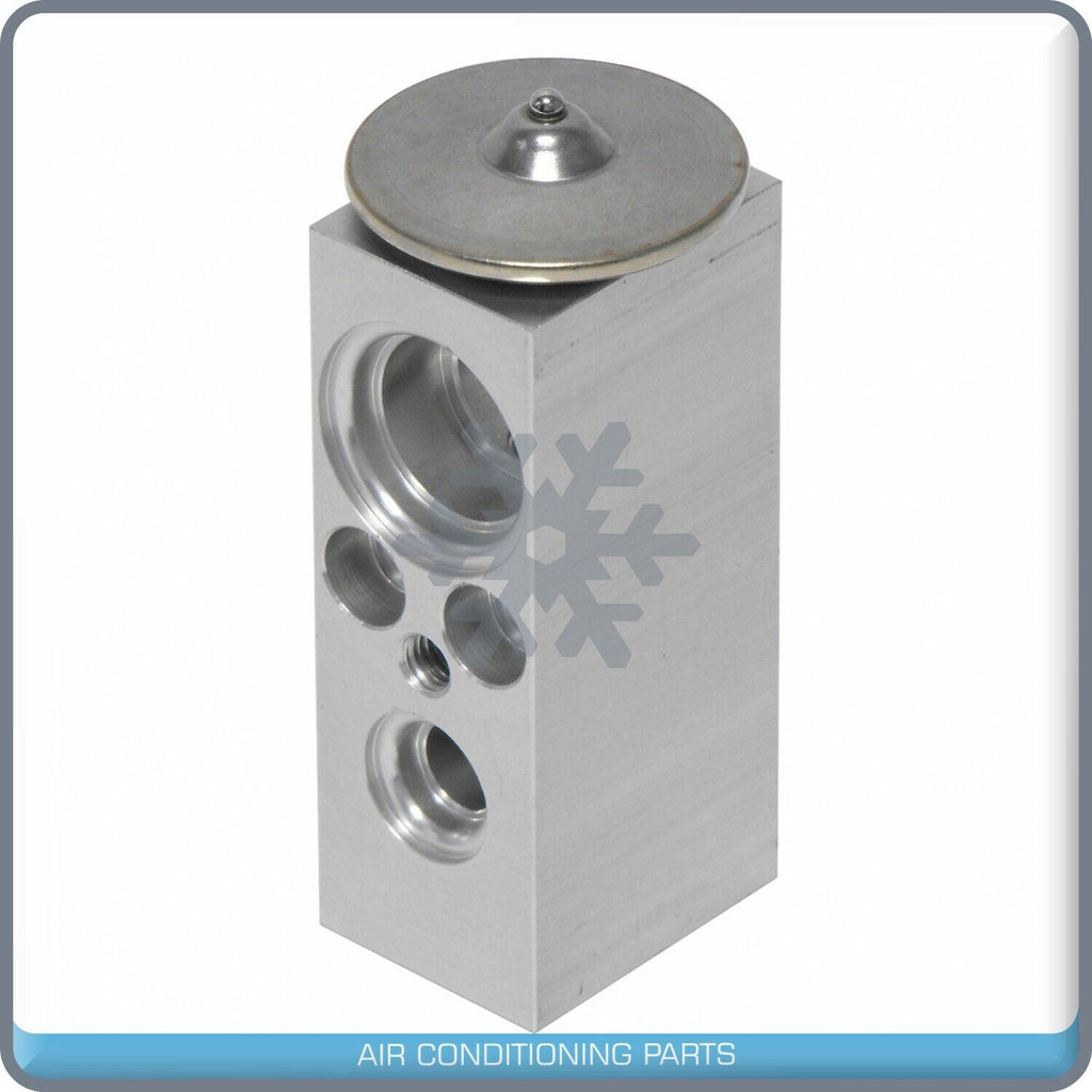 A/C Expansion Valve for Saturn L100, L200, L300, LS, LS1, LS2, LW1, LW2, L... QR - Qualy Air