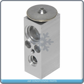 A/C Expansion Valve for Saturn L100, L200, L300, LS, LS1, LS2, LW1, LW2, L... QR - Qualy Air