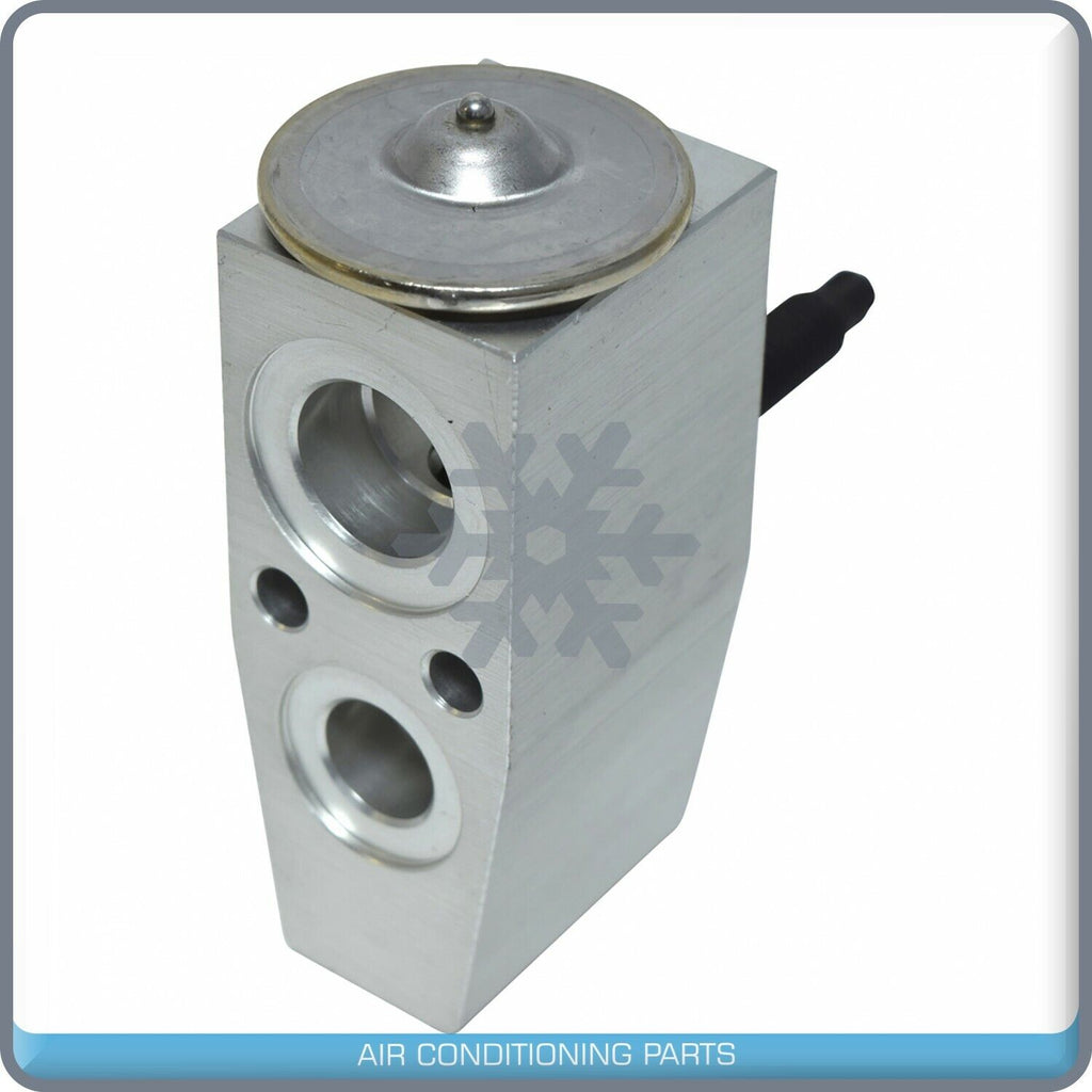 A/C Expansion Valve for Chevrolet Captiva Sport / Saturn Vue QR - Qualy Air