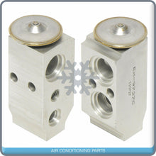 Load image into Gallery viewer, A/C Expansion Valve for Chevrolet Silverado 3500 HD / Borrego, Forte QR - Qualy Air