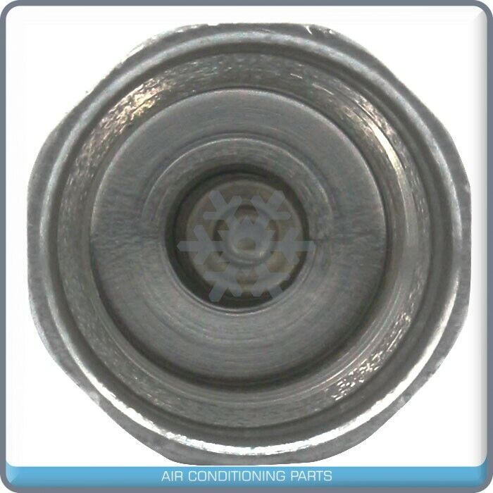 Set 10pcs Low Side AC Ball Valve Core Charge Port Fits:GM Ford Audi Vw  M10x1,25 - Qualy Air