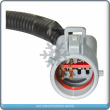 Load image into Gallery viewer, Electric Fuel Pump Module For Ford Explorer Sport Trac 2002-2003 V6-4.0L QOA - Qualy Air