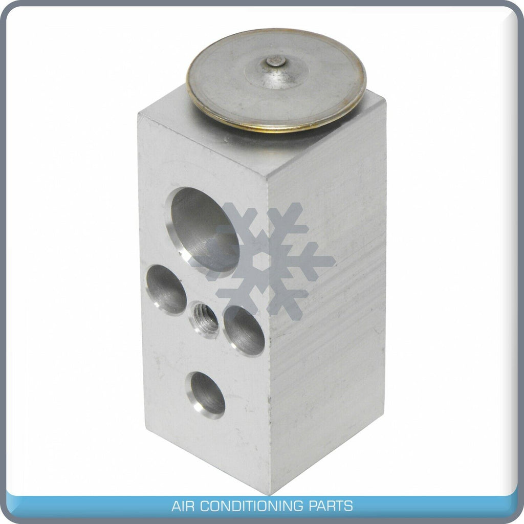 A/C Expansion Valve for Dodge B150, B1500, B250, B350, D150, D250, D350, D... QR - Qualy Air