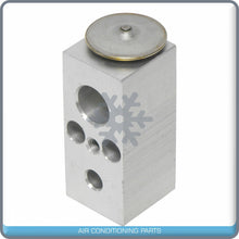 Load image into Gallery viewer, A/C Expansion Valve for Dodge B150, B1500, B250, B350, D150, D250, D350, D... QR - Qualy Air