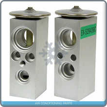 Cargar imagen en el visor de la galería, A/C Expansion Valve for Dodge B1500, B2500, B3500, Ram 1500 Van, Ram 2500 ... QR - Qualy Air