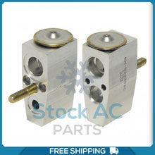 Load image into Gallery viewer, A/C Expansion Valve for Chevrolet Caprice, SS / Pontiac G8 QR - Qualy Air