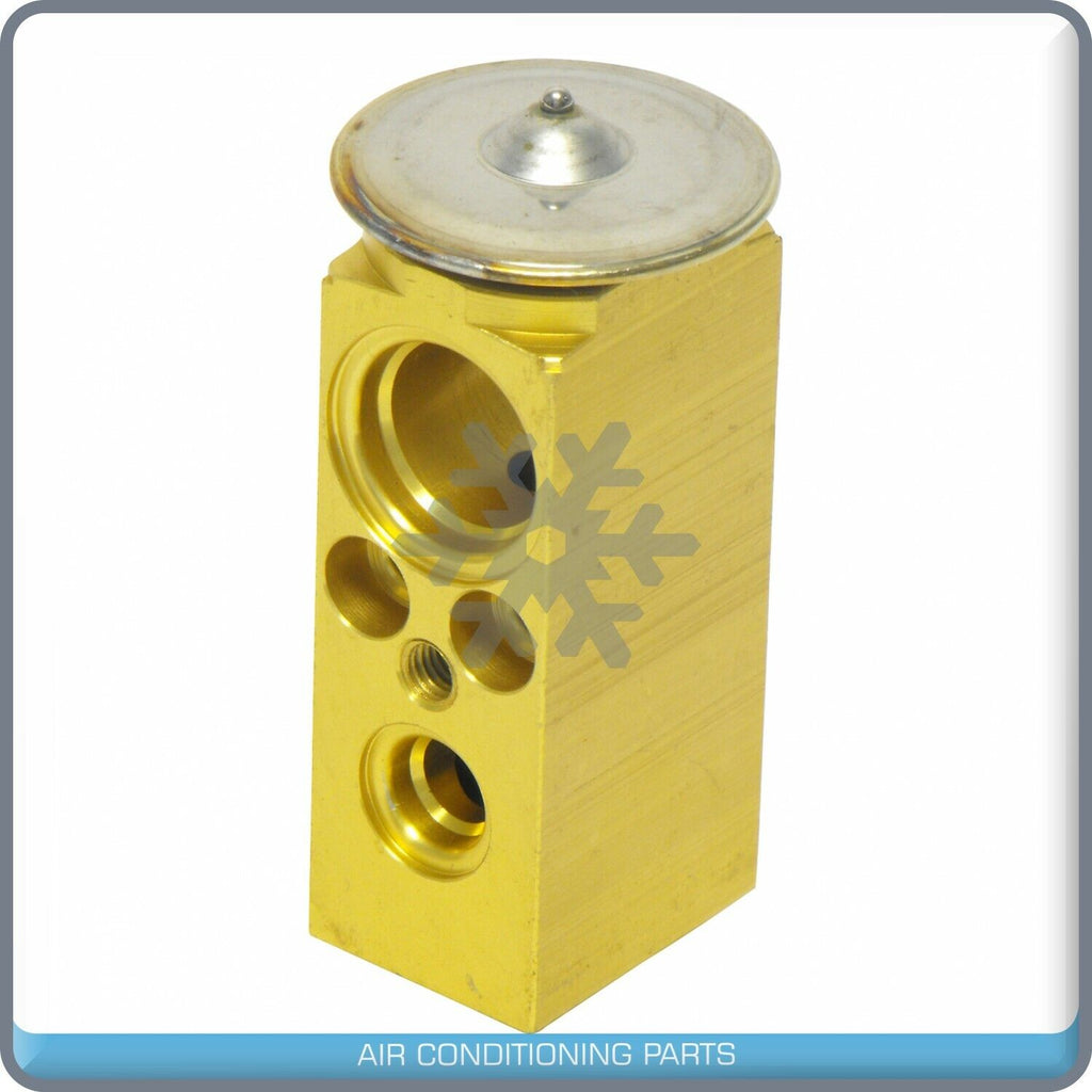 A/C Expansion Valve for Chevrolet Venture / Oldsmobile Silhouette / Pontia... QR - Qualy Air