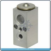 Load image into Gallery viewer, A/C Expansion Valve for Chevrolet Venture / Oldsmobile Silhouette / Pontia... QR - Qualy Air