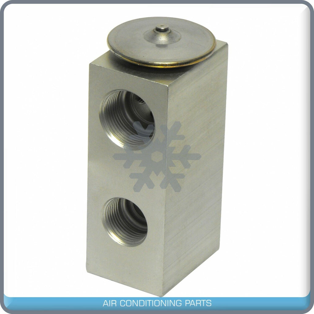 A/C Expansion Valve for Ford Expedition QR - Qualy Air