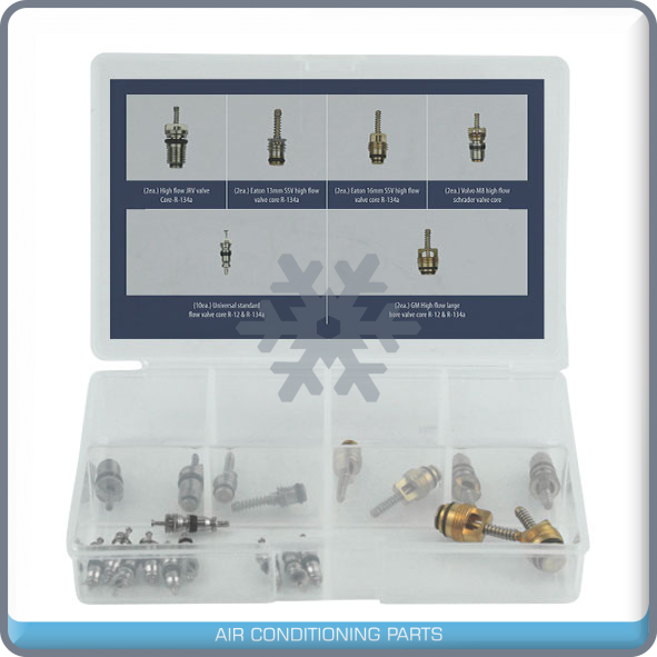 New A/C Valve Core - 20pc KIT - Qualy Air