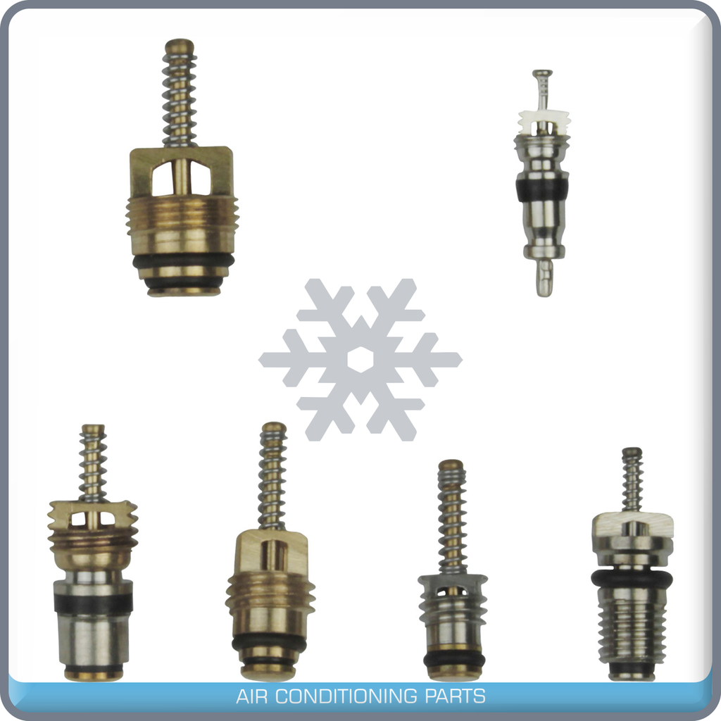 New A/C Valve Core - 20pc KIT - Qualy Air