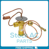 A/C Expansion Valve for Buick Skylark / Chevrolet Beretta, Corsica / Ponti... QR