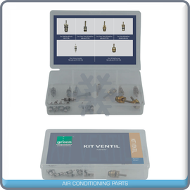 New A/C Valve Core - 20pc KIT - Qualy Air