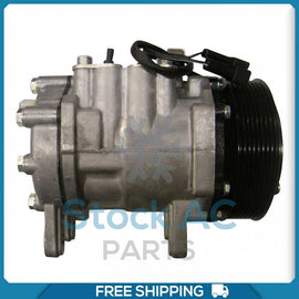A/C Compressor C171 for Dodge D250, D350, W250, W350 QR - Qualy Air